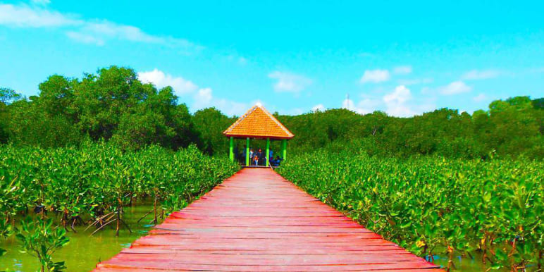 jembatan-merah-hutan-mangrove-rembang.jpg
